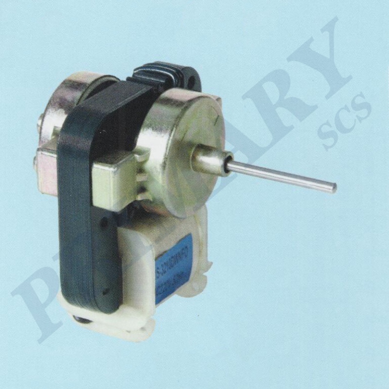 Refrigerator motor 010