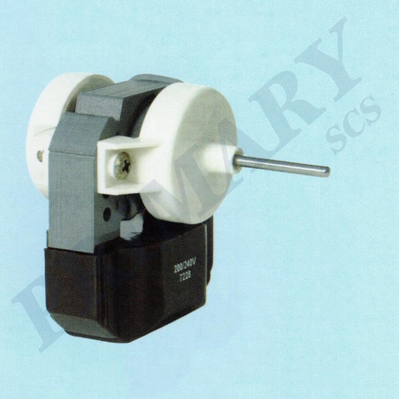 Refrigerator motor 030