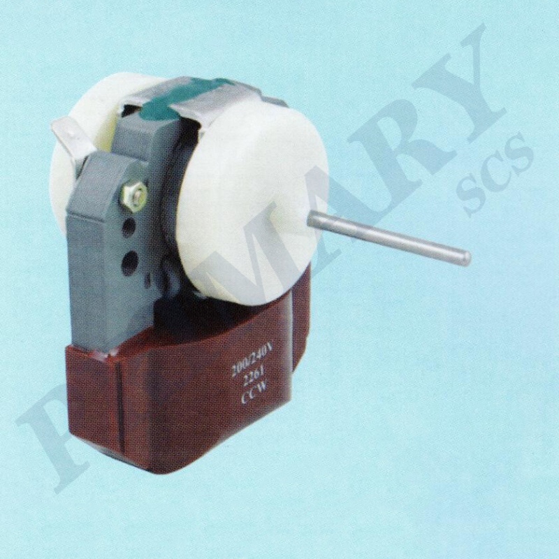 Refrigerator motor 029