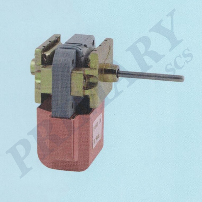 Refrigerator motor 012